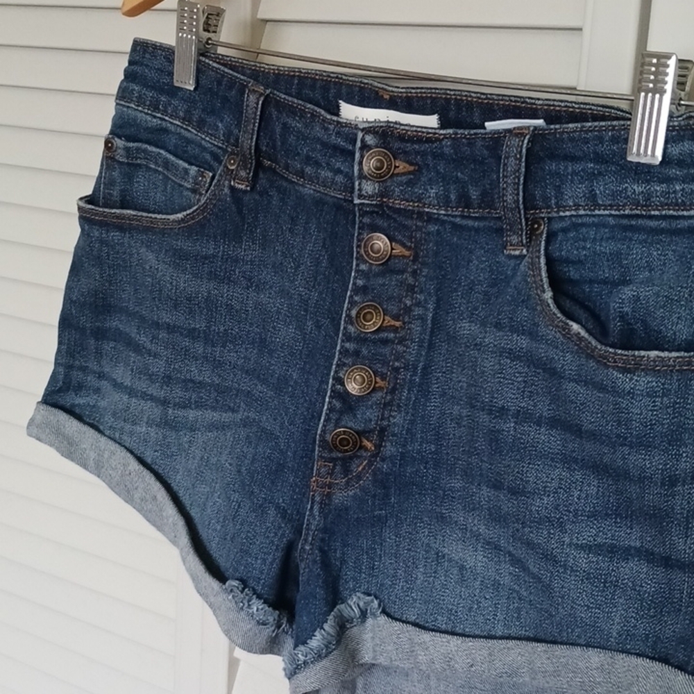 Eunina Button Fly Denim shorts, Size L - Picture 3 of 9